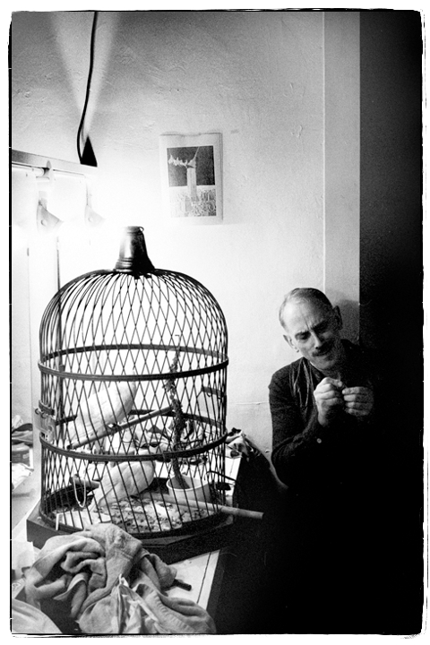 Olly backstage with doves